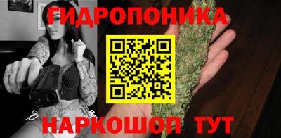 шишки Будённовск