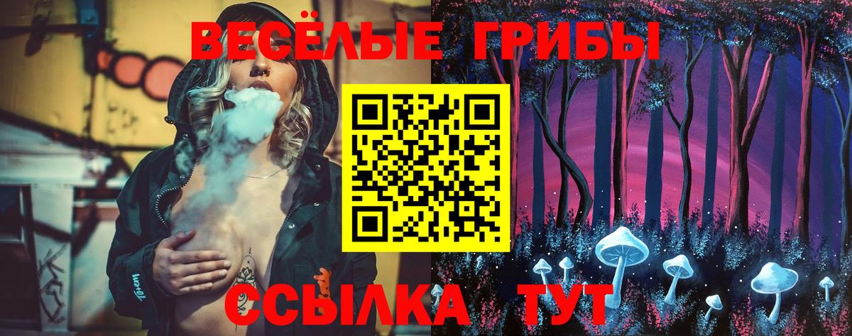 Галлюциногенные грибы GOLDEN TEACHER  Вход с VPN  Псилоцибиновые грибы Cubensis  Ртищево 