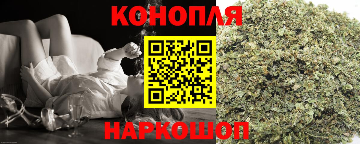 Бошки Шишки семена Ртищево